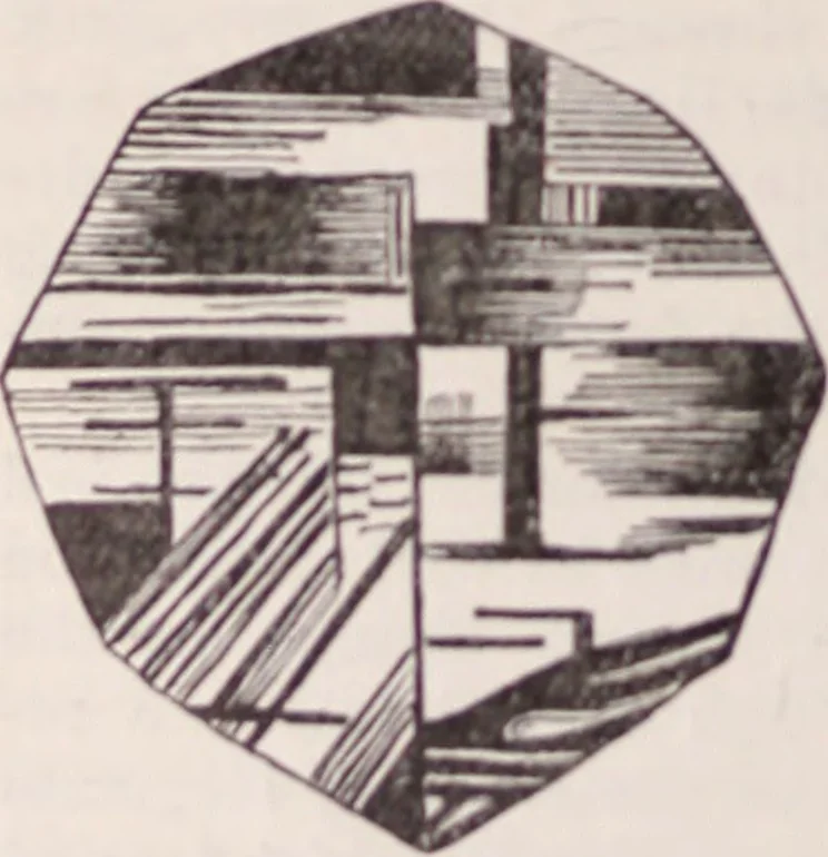 An illustration from The microscope and its revelations, 1891, leaf 1065