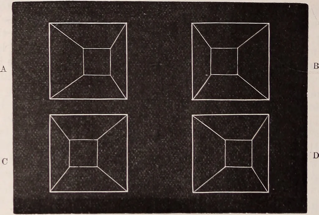 An illustration from The microscope and its revelations, 1891, leaf 117