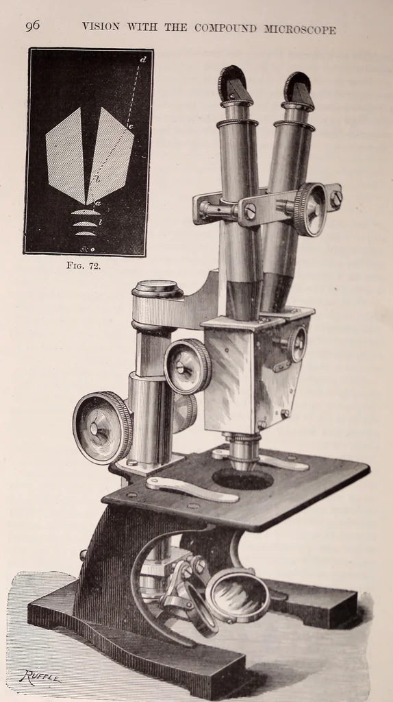 An illustration from The microscope and its revelations, 1891, leaf 121