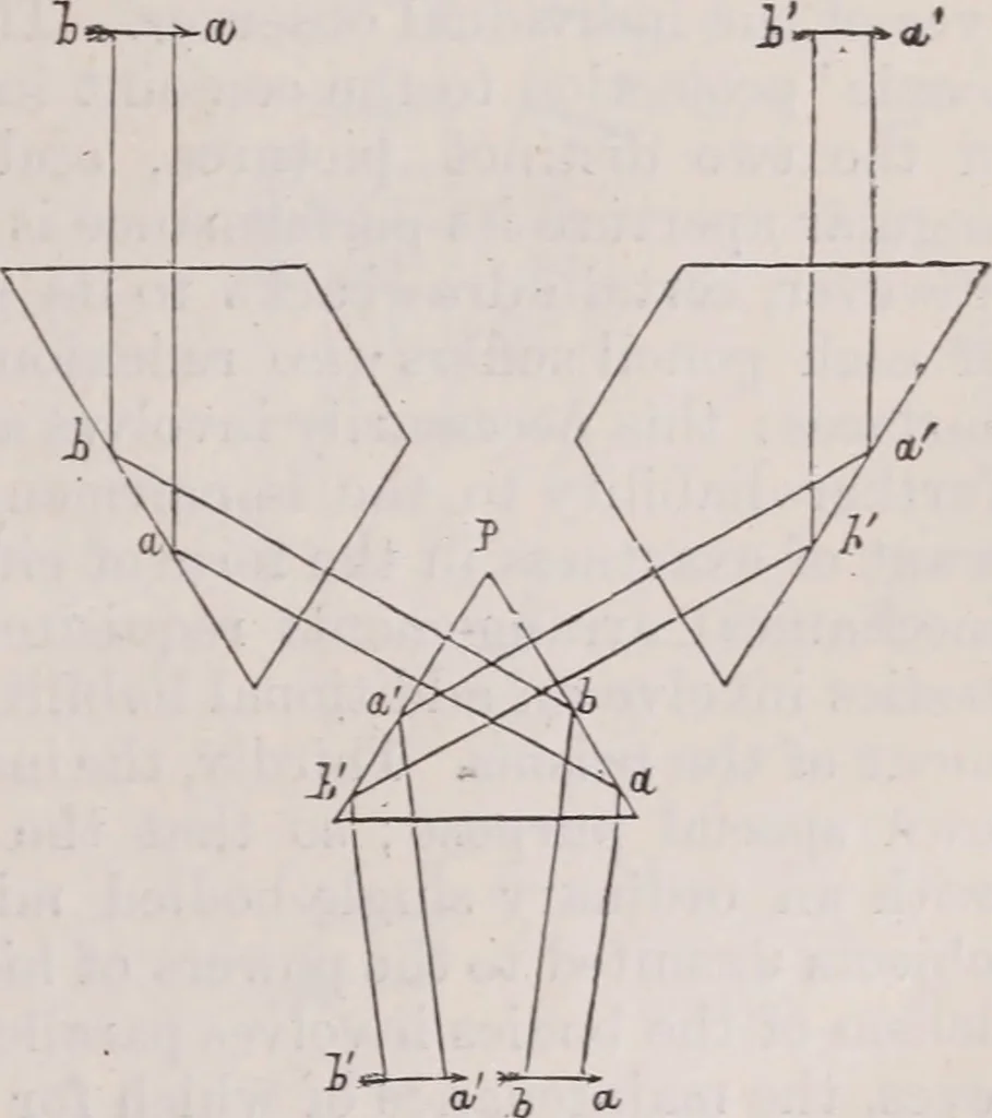 An illustration from The microscope and its revelations, 1891, leaf 122