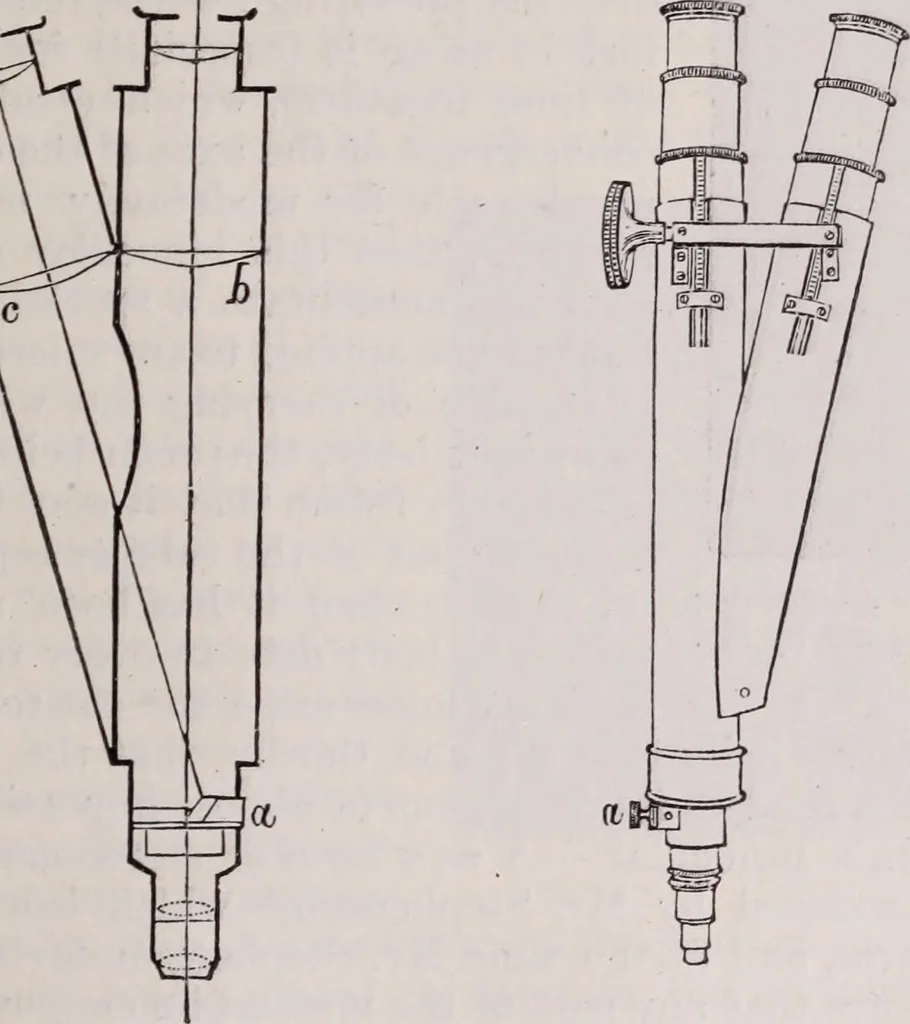 An illustration from The microscope and its revelations, 1891, leaf 124