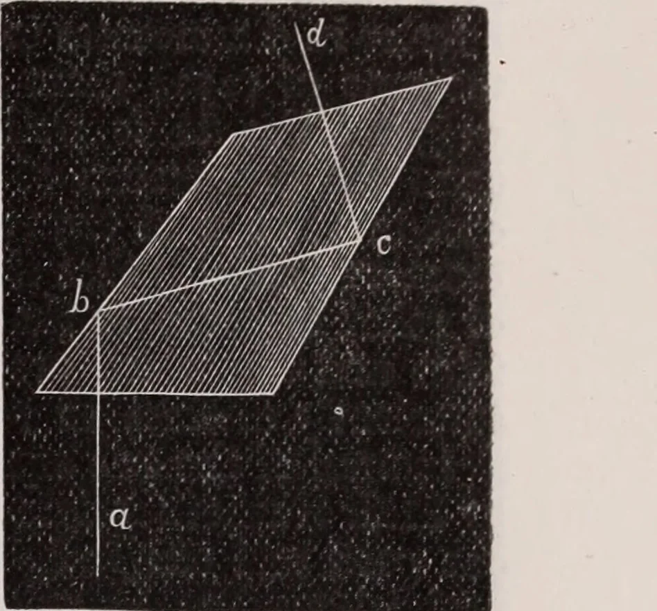 An illustration from The microscope and its revelations, 1891, leaf 124