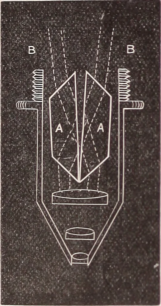 An illustration from The microscope and its revelations, 1891, leaf 125