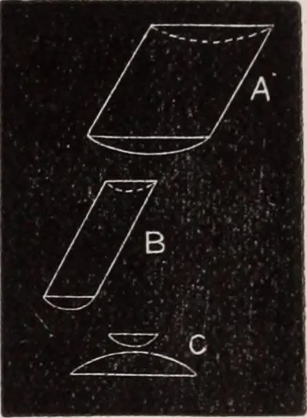 An illustration from The microscope and its revelations, 1891, leaf 126