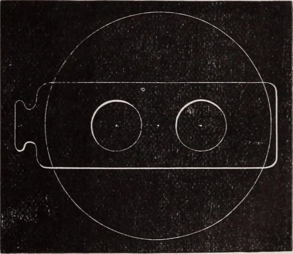 An illustration from The microscope and its revelations, 1891, leaf 126