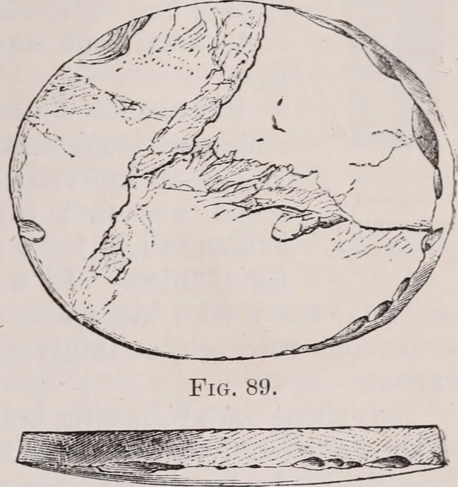 An illustration from The microscope and its revelations, 1891, leaf 146