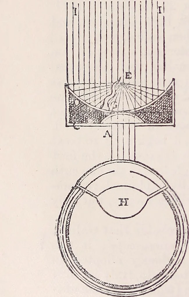 An illustration from The microscope and its revelations, 1891, leaf 153