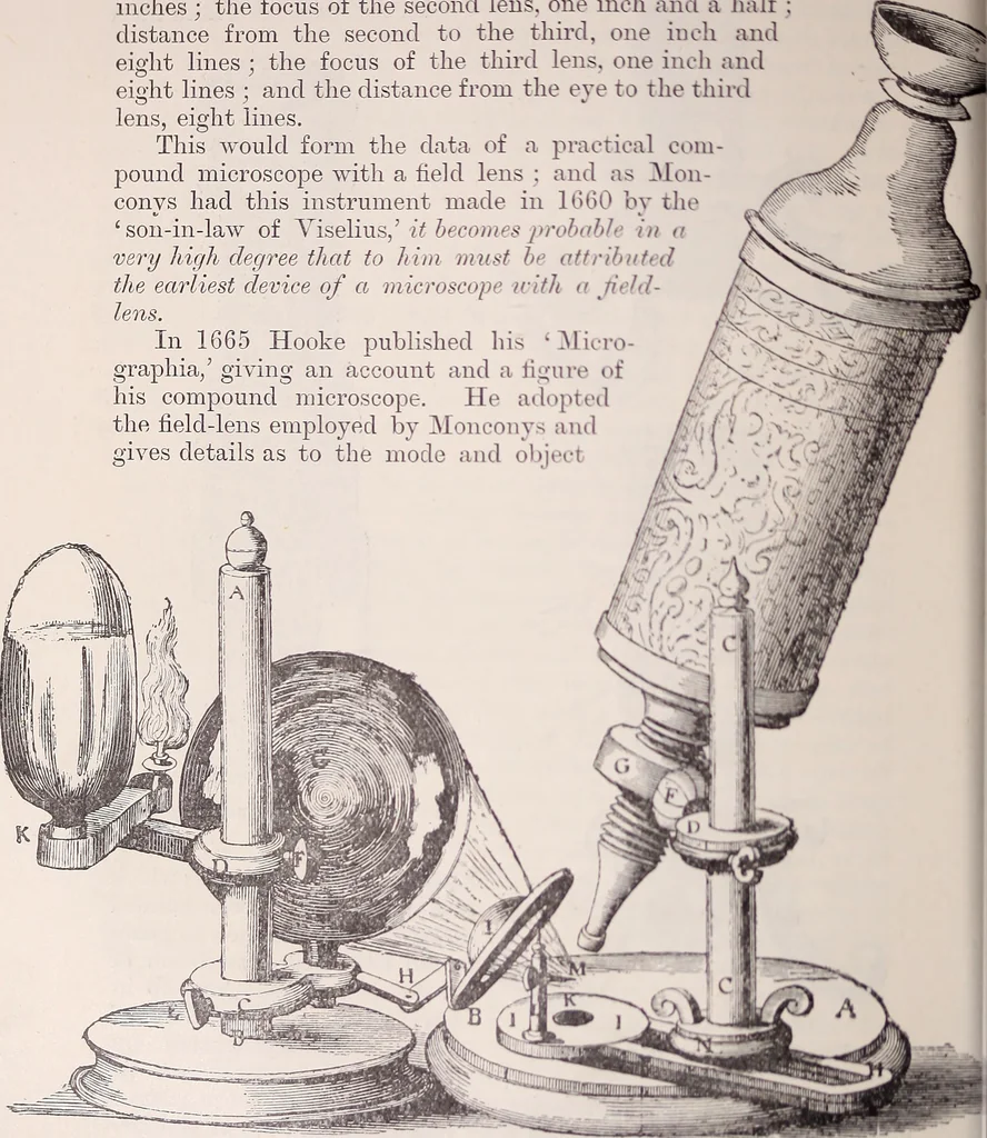 An illustration from The microscope and its revelations, 1891, leaf 155