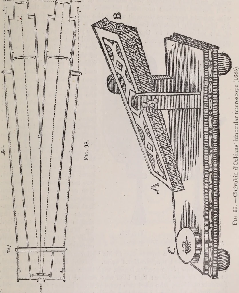 An illustration from The microscope and its revelations, 1891, leaf 158