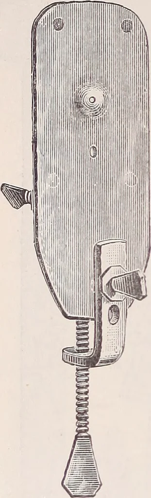 An illustration from The microscope and its revelations, 1891, leaf 159