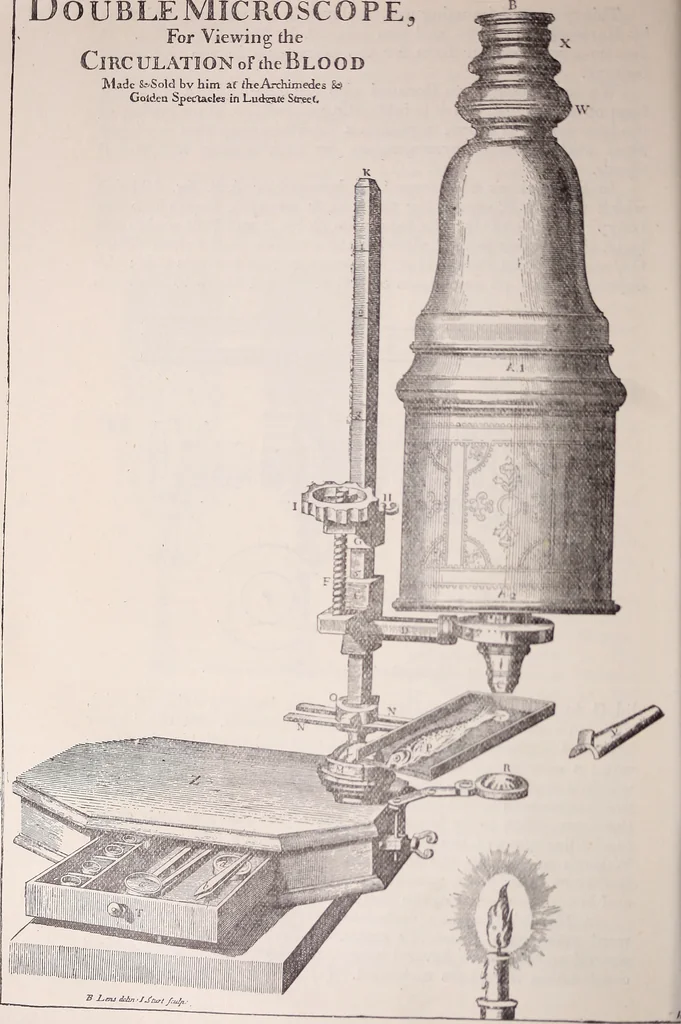 An illustration from The microscope and its revelations, 1891, leaf 161