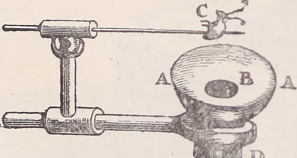 An illustration from The microscope and its revelations, 1891, leaf 163