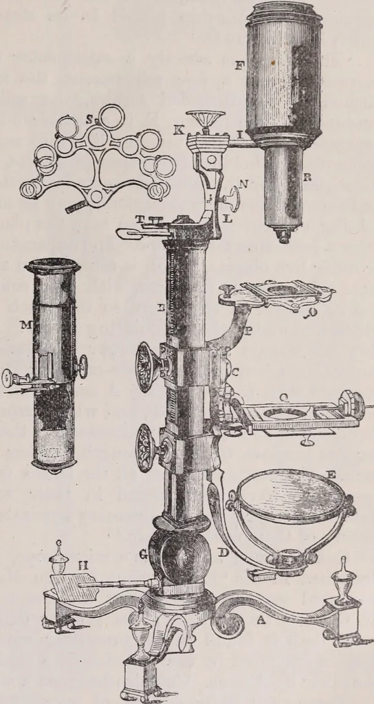 An illustration from The microscope and its revelations, 1891, leaf 164