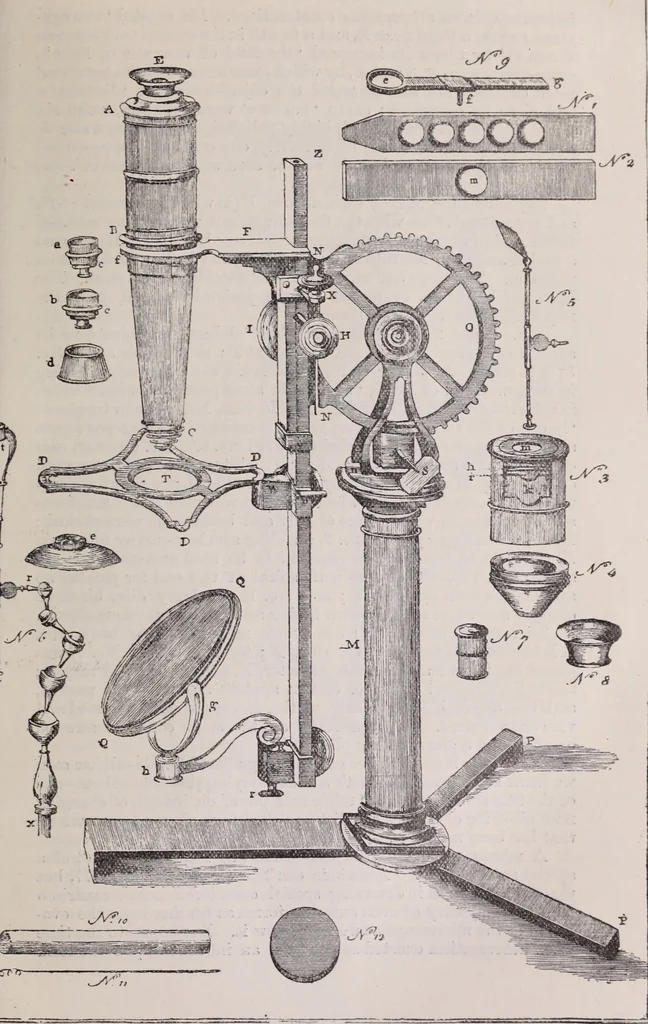An illustration from The microscope and its revelations, 1891, leaf 166