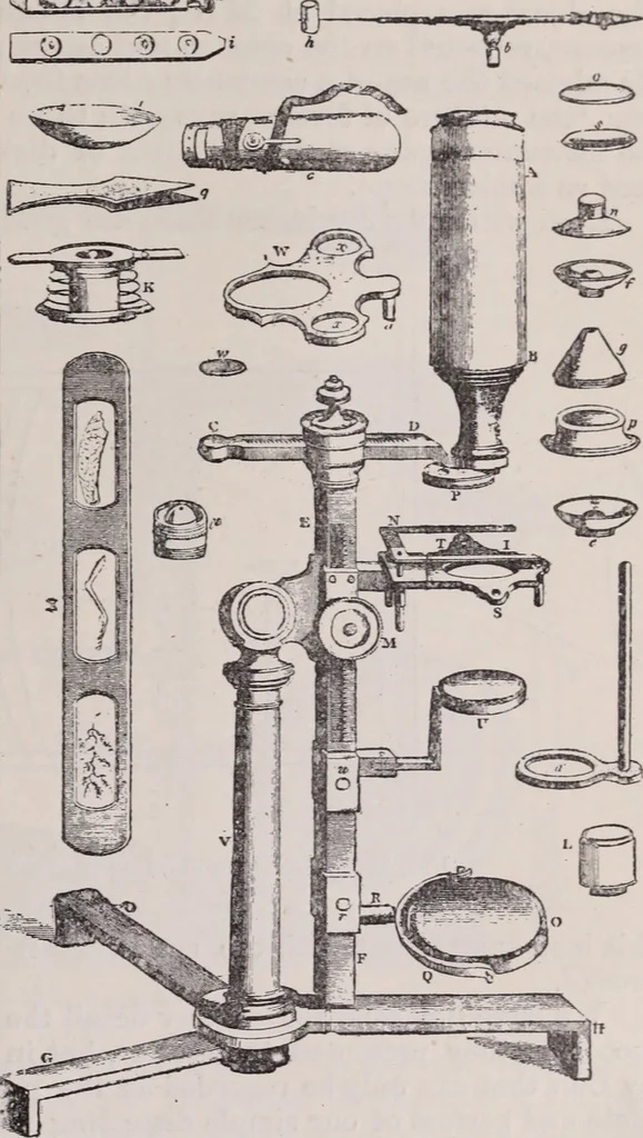An illustration from The microscope and its revelations, 1891, leaf 168