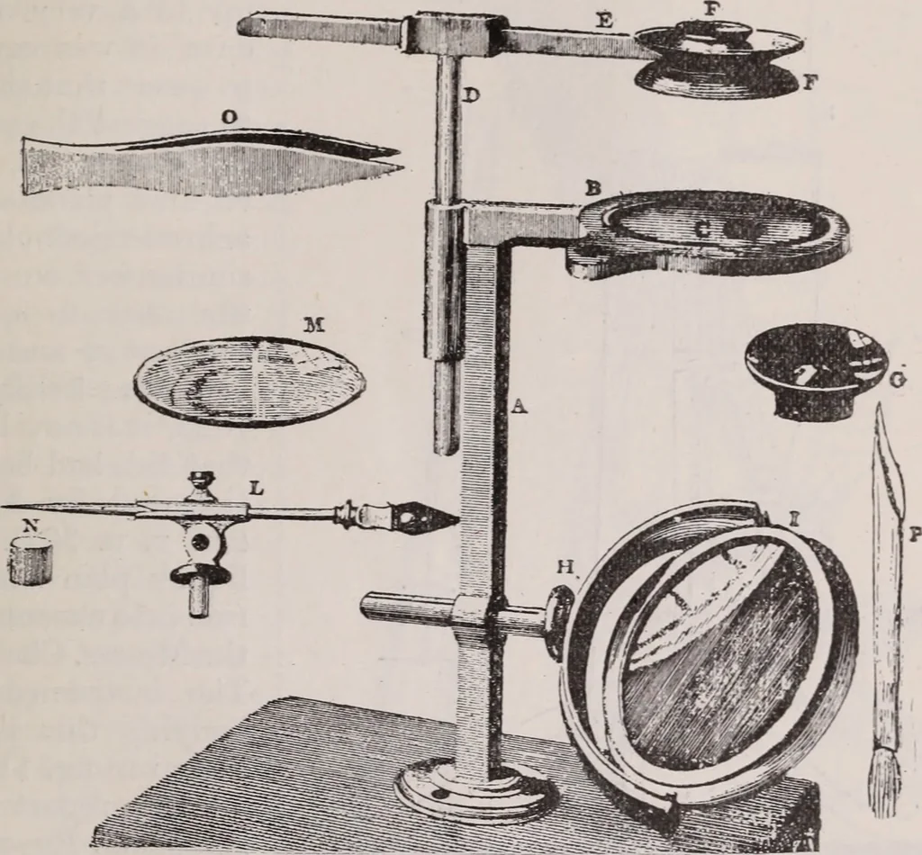 An illustration from The microscope and its revelations, 1891, leaf 170