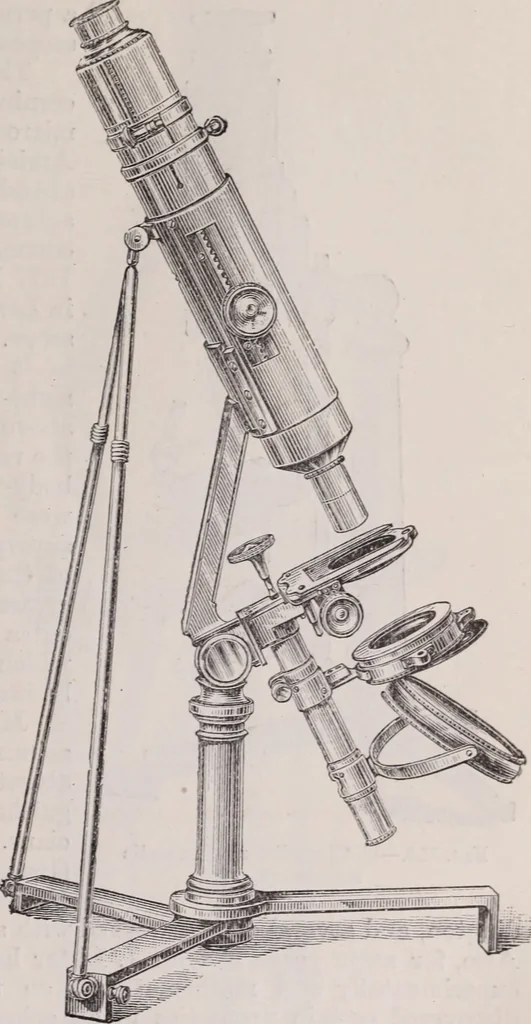 An illustration from The microscope and its revelations, 1891, leaf 172