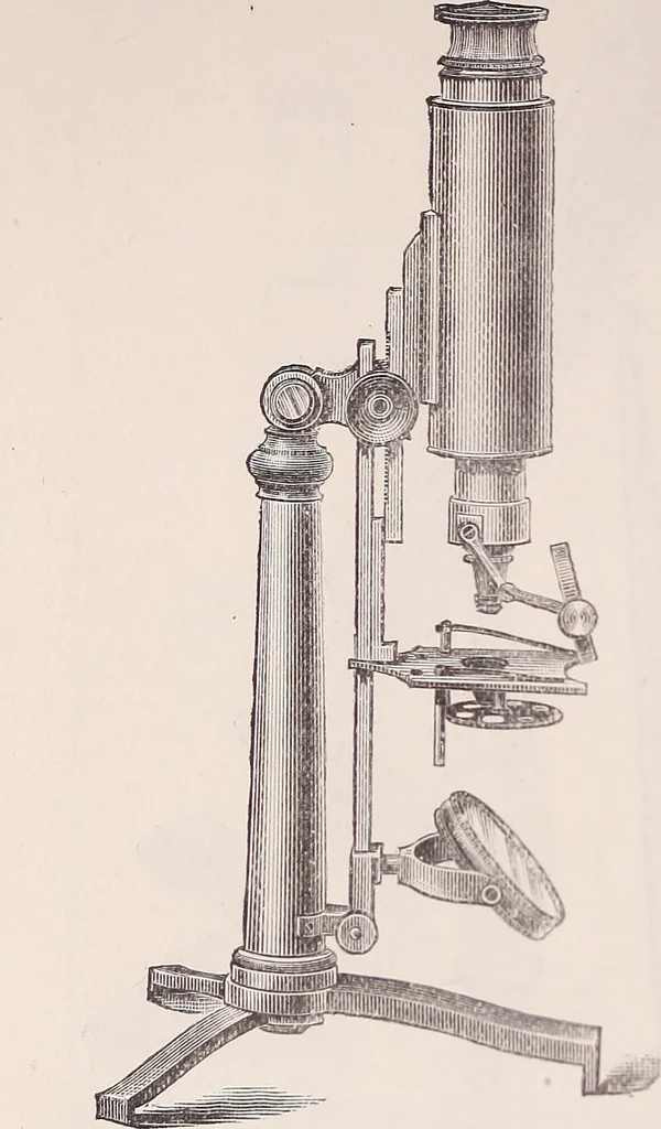 An illustration from The microscope and its revelations, 1891, leaf 173