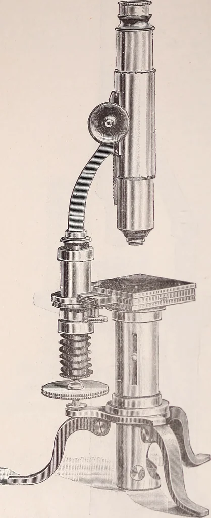 An illustration from The microscope and its revelations, 1891, leaf 175