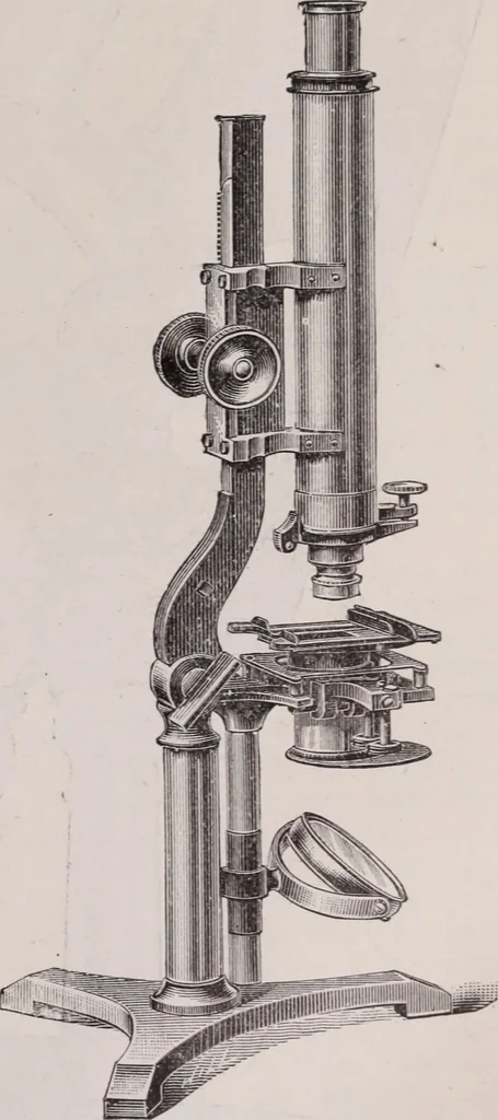 An illustration from The microscope and its revelations, 1891, leaf 176
