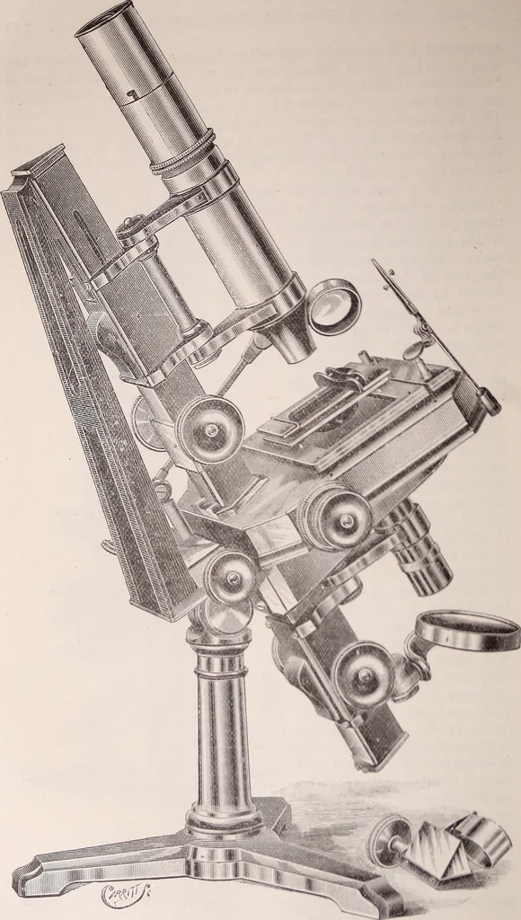 An illustration from The microscope and its revelations, 1891, leaf 177