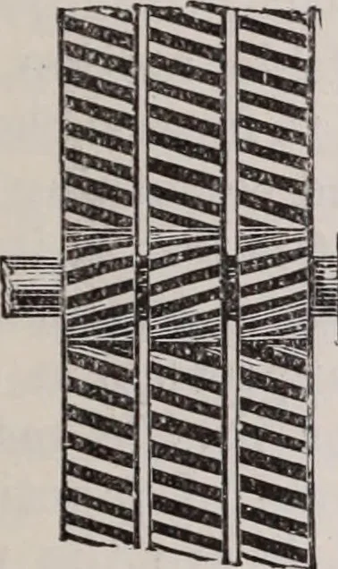 An illustration from The microscope and its revelations, 1891, leaf 182