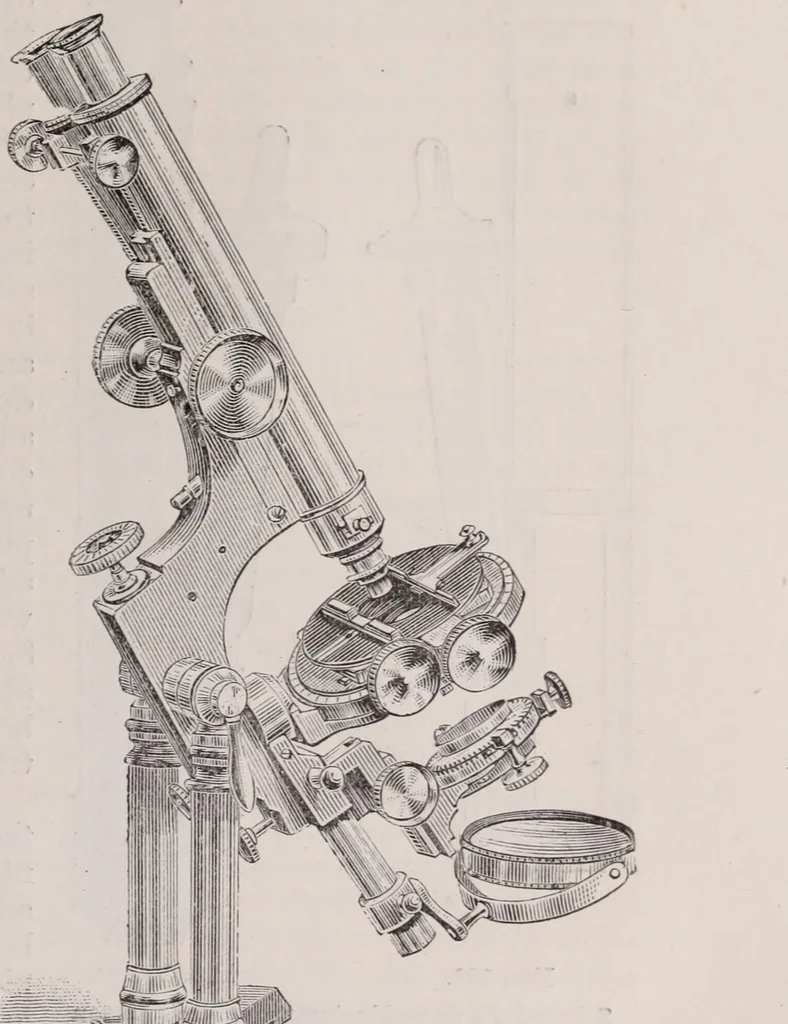An illustration from The microscope and its revelations, 1891, leaf 184