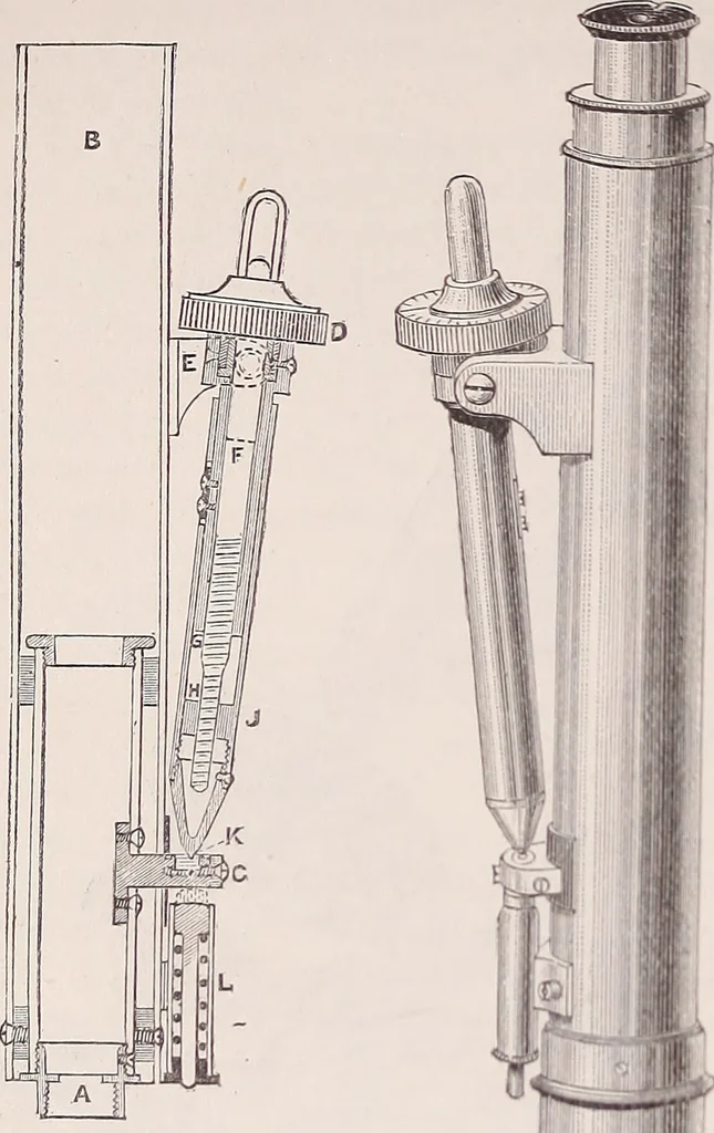 An illustration from The microscope and its revelations, 1891, leaf 185