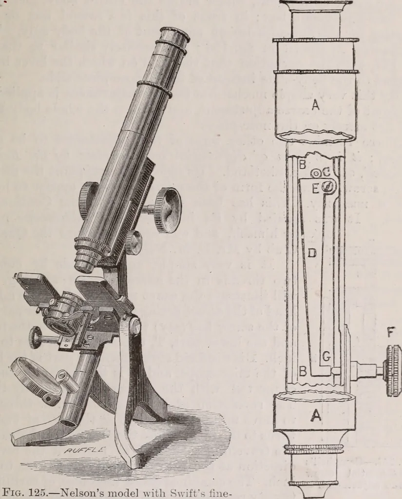 An illustration from The microscope and its revelations, 1891, leaf 188