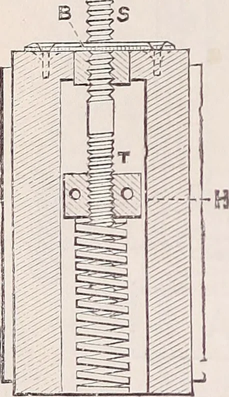An illustration from The microscope and its revelations, 1891, leaf 189