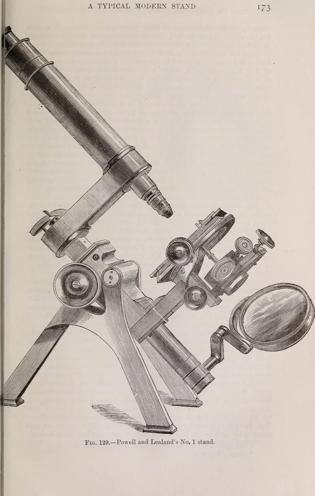 An illustration from The microscope and its revelations, 1891, leaf 198