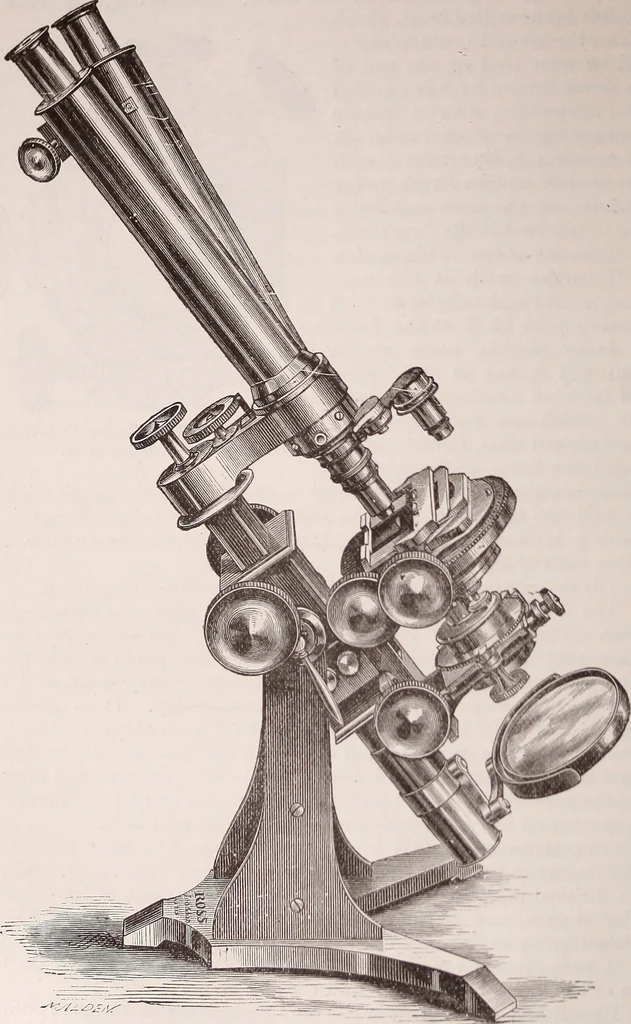 An illustration from The microscope and its revelations, 1891, leaf 201