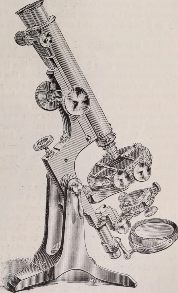 An illustration from The microscope and its revelations, 1891, leaf 202