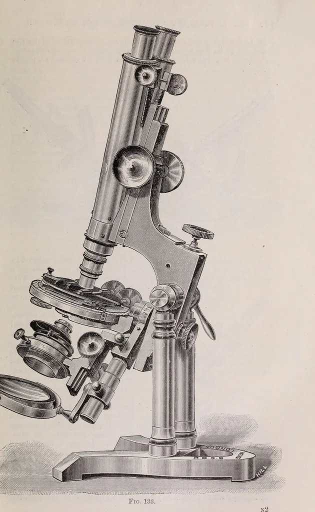 An illustration from The microscope and its revelations, 1891, leaf 204