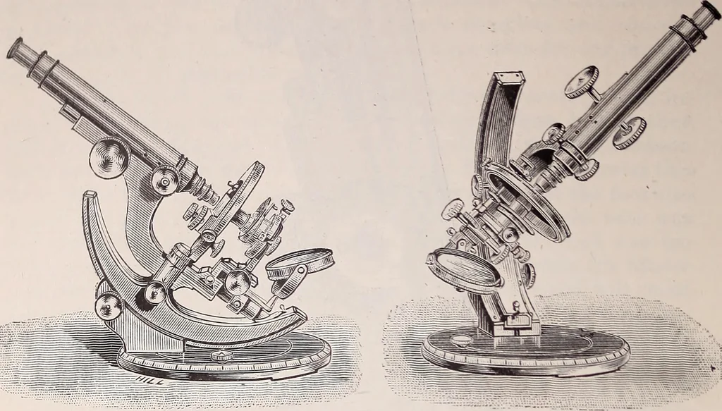 An illustration from The microscope and its revelations, 1891, leaf 205