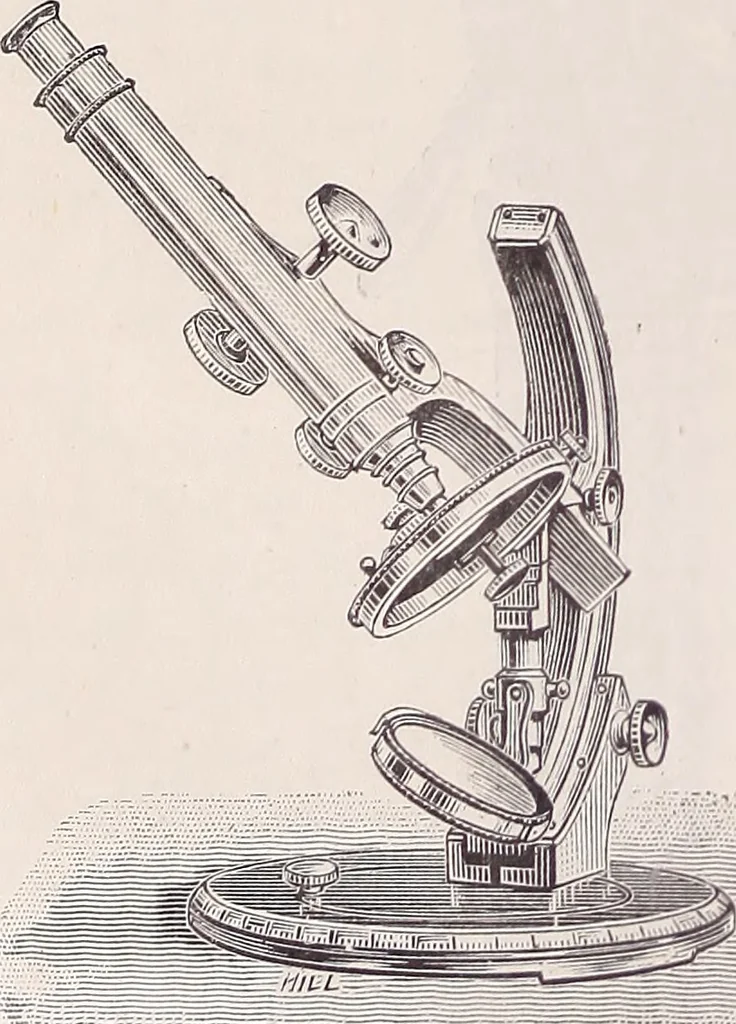 An illustration from The microscope and its revelations, 1891, leaf 205