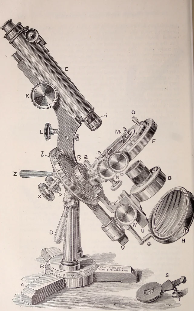 An illustration from The microscope and its revelations, 1891, leaf 207