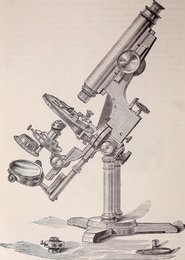 An illustration from The microscope and its revelations, 1891, leaf 211