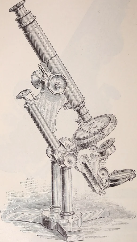 An illustration from The microscope and its revelations, 1891, leaf 213
