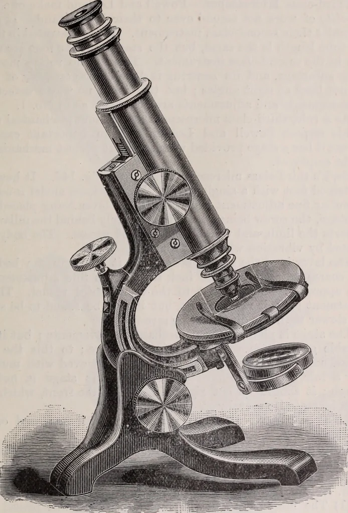 An illustration from The microscope and its revelations, 1891, leaf 214