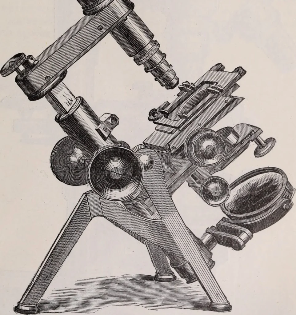 An illustration from The microscope and its revelations, 1891, leaf 216