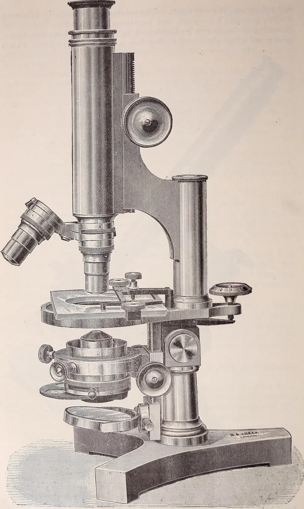 An illustration from The microscope and its revelations, 1891, leaf 217