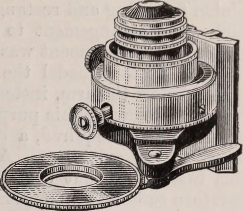 An illustration from The microscope and its revelations, 1891, leaf 218