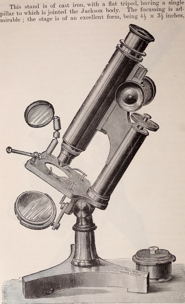 An illustration from The microscope and its revelations, 1891, leaf 221