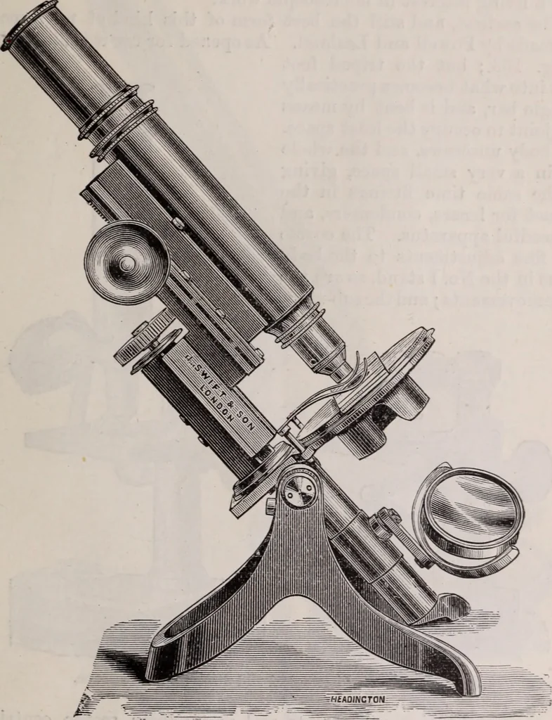 An illustration from The microscope and its revelations, 1891, leaf 222