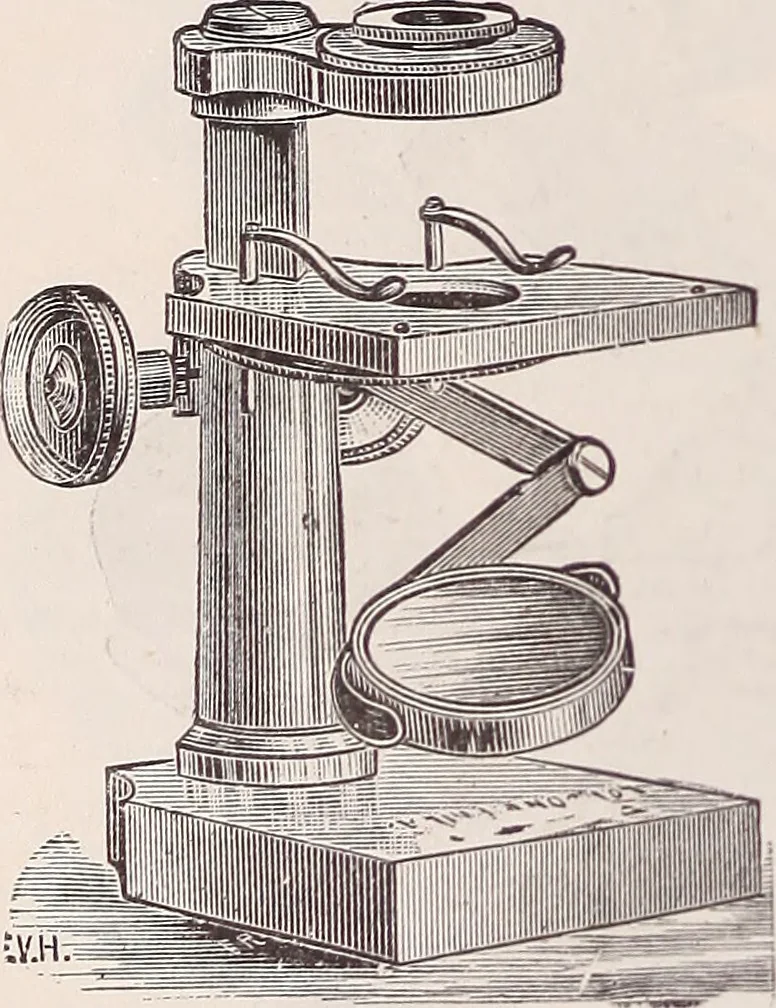 An illustration from The microscope and its revelations, 1891, leaf 223