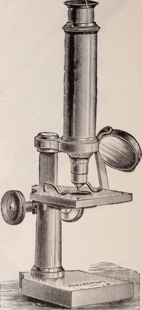An illustration from The microscope and its revelations, 1891, leaf 223