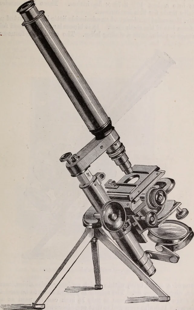 An illustration from The microscope and its revelations, 1891, leaf 224