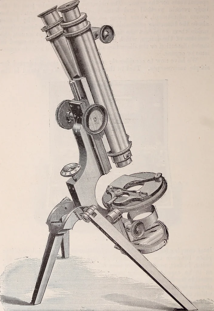 An illustration from The microscope and its revelations, 1891, leaf 227