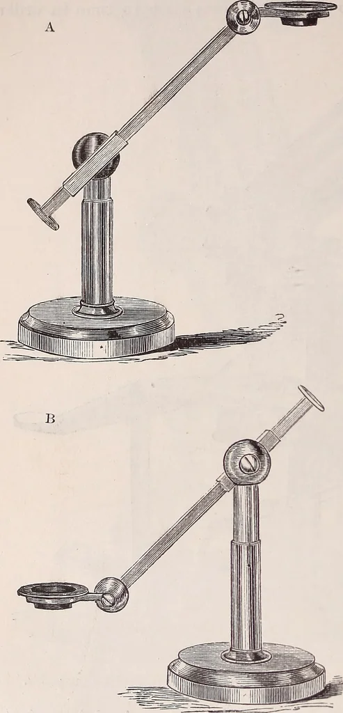 An illustration from The microscope and its revelations, 1891, leaf 229